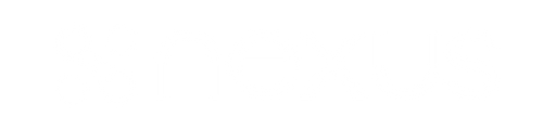 nexus logo