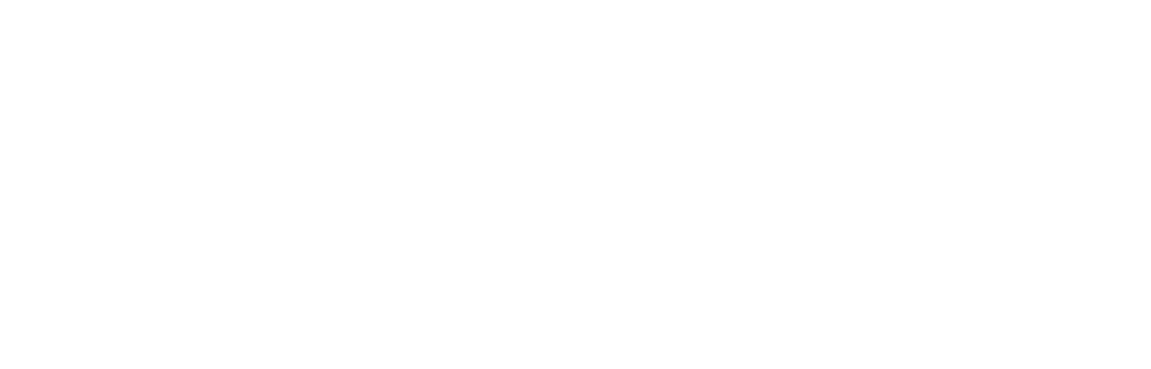 Splitmetrics logo